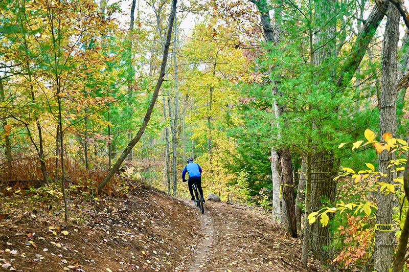 Mosquito Creek Trails